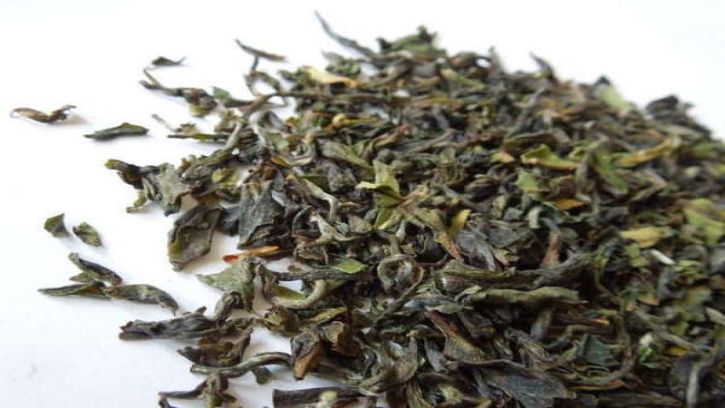 紅茶蜂蜜香氣來自哪？解析六大茶葉化合物的關鍵影響