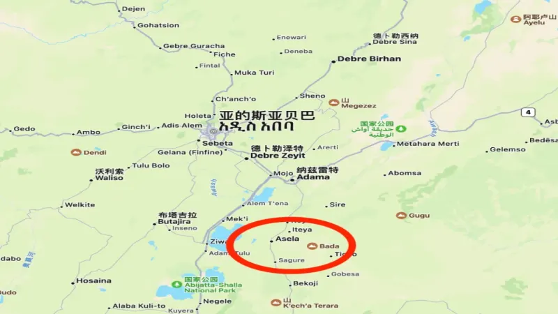 埃塞俄比亞南部動盪加劇，咖啡產區供應鏈風險升級