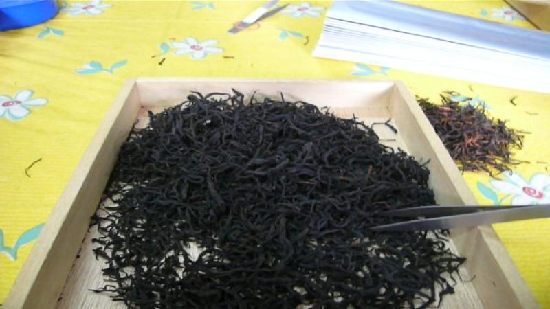 臺茶18號紅玉紅茶怎麼泡？揭開蜜香與薄荷涼感的秘密