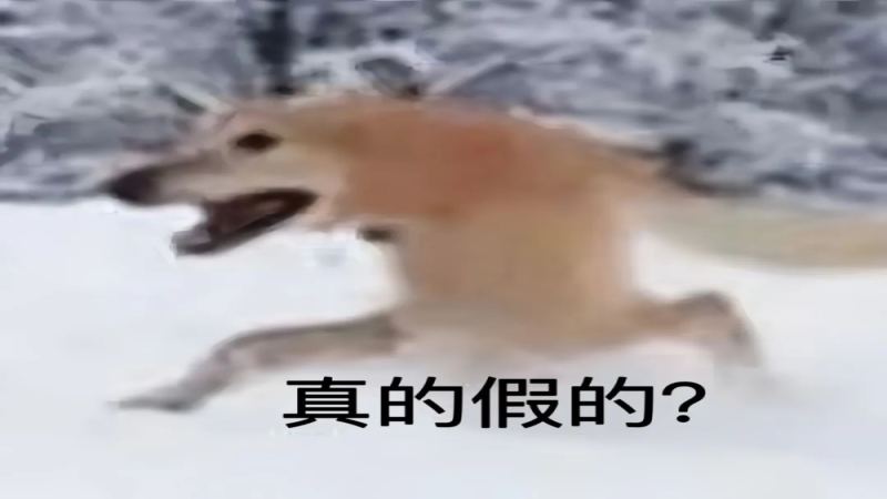 濃縮咖啡虎斑紋成因解析｜Crema色澤與細粉對風味的影響