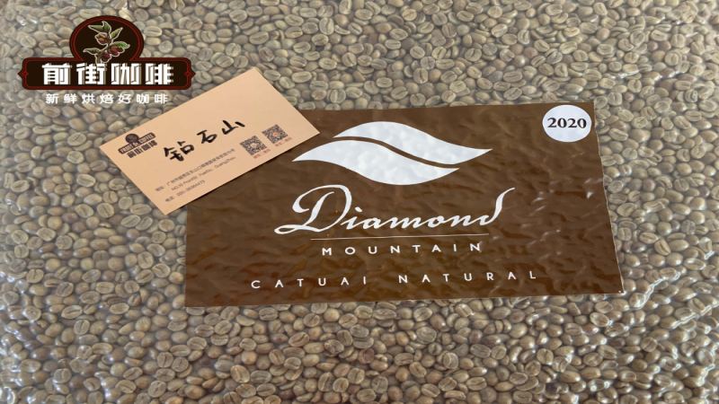 翡翠莊園鑽石山咖啡風味解析：卡杜拉與卡杜艾水洗日曬差異與沖煮建議