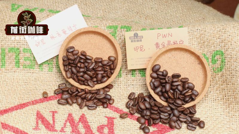黃金曼特寧 vs 20目曼特寧差在哪？風味、篩選與真偽辨識全解析