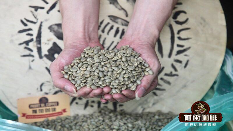 牙買加藍山一號手沖入門：從選豆到萃取的全方位實戰指南