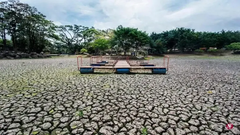 哥斯達黎加咖啡減產危機：氣候變遷如何影響風味與產業鏈？