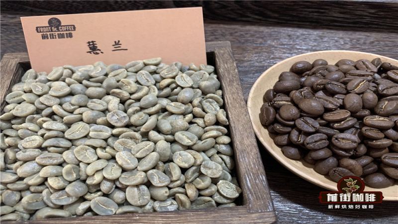 哥倫比亞咖啡豆分級標準詳解：顆粒大小如何決定品質等級與出口規格