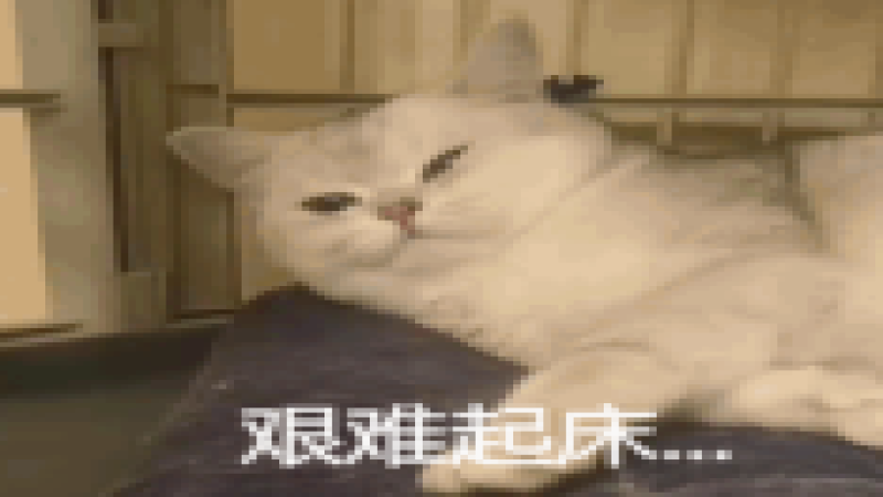 清明節陵園現咖啡攤！年輕人帶手沖咖啡祭祖新趨勢