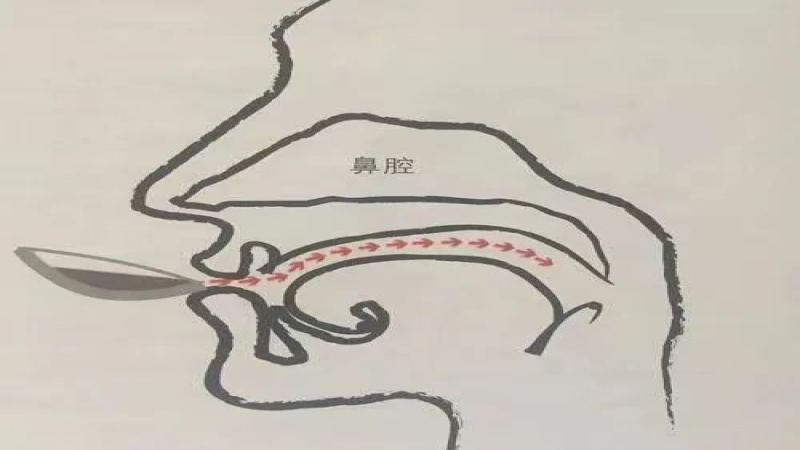 啜吸品鑑咖啡技巧全解析：原理、步驟與日常應用指南