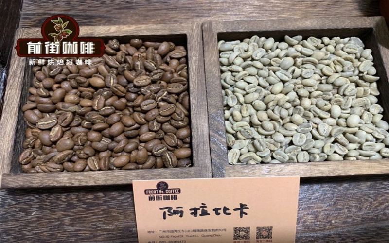 咖啡豆的密度與硬度：影響風味的隱藏因素