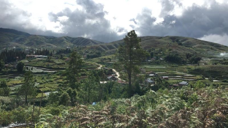 印尼曼特寧咖啡豆品種解析：溼刨法處理特色與風味衝泡全指南