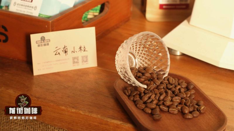 羅布斯塔咖啡豆怎麼喝？風味缺點解析與實用沖煮建議