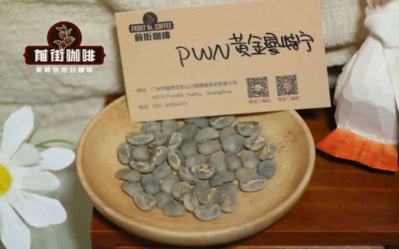 印尼曼特寧咖啡豆品種｜PWN黃金曼特寧是阿拉比卡咖啡嗎？手衝虹吸壺愛樂壓法壓壺哪種適合衝煮黃金曼特寧？