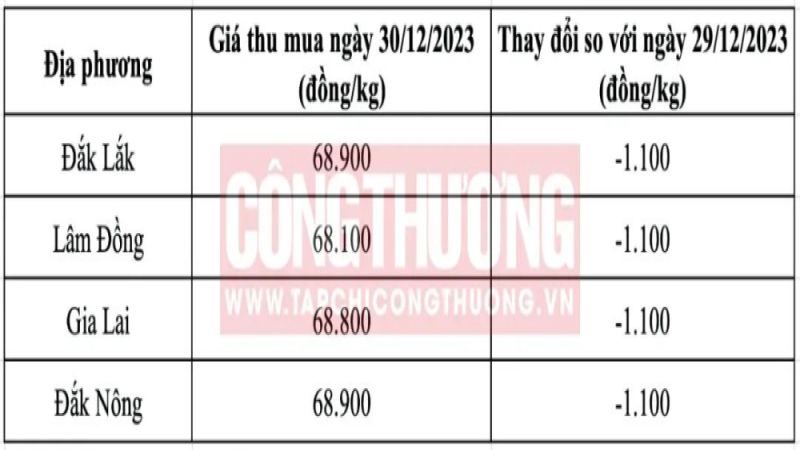 越南咖啡價格鬆動背後：供應回穩與全球市場變數解析