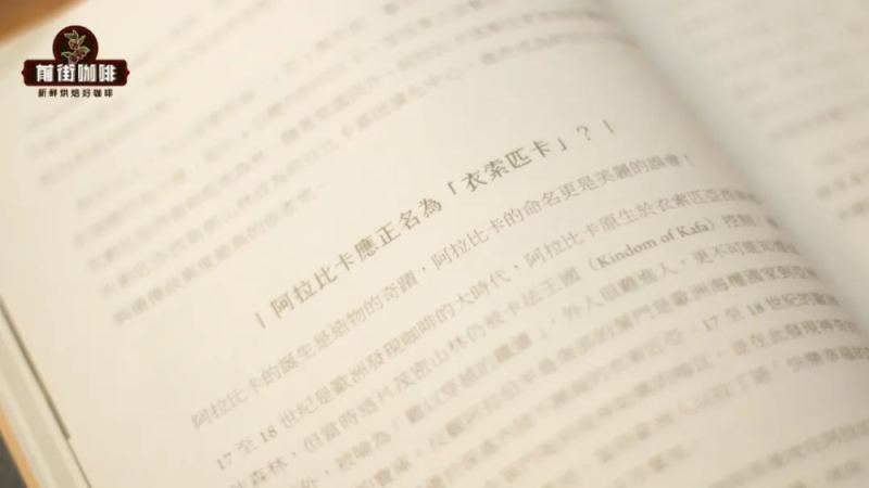 阿拉比卡命名由來與全球產區風味解析｜咖啡豆選購指南