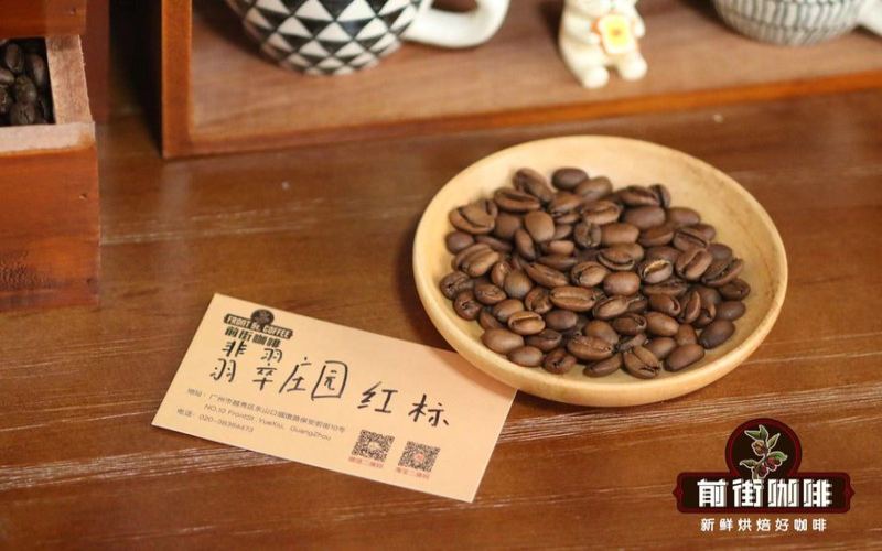 手磨豆從開袋到喝完，風味節奏這樣安排