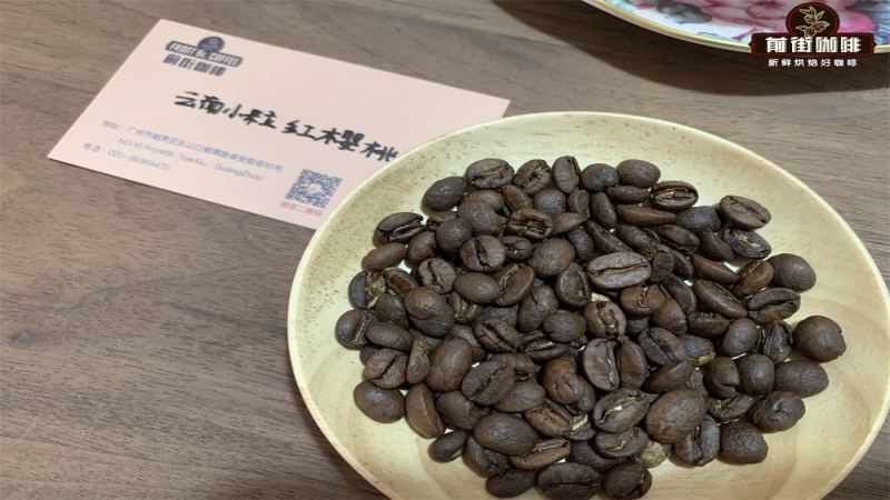 雲南小粒咖啡全攻略：品種演進、產區特色與沖煮技巧指南