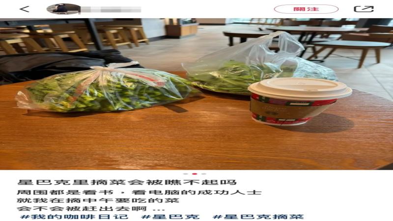 星巴克內擇菜行為引發爭議！公共空間使用界線怎麼拿捏？