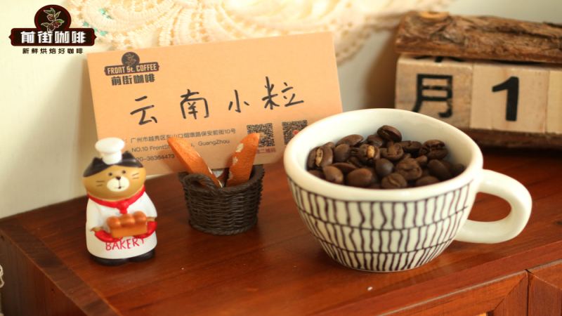 雲南咖啡豆品質特徵與等級劃分標準全面解讀