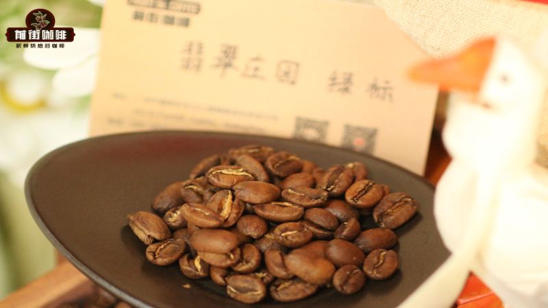 巴拿馬翡翠莊園紅標與綠標瑰夏風味差異，瑰夏品種特色及地塊分級全解析