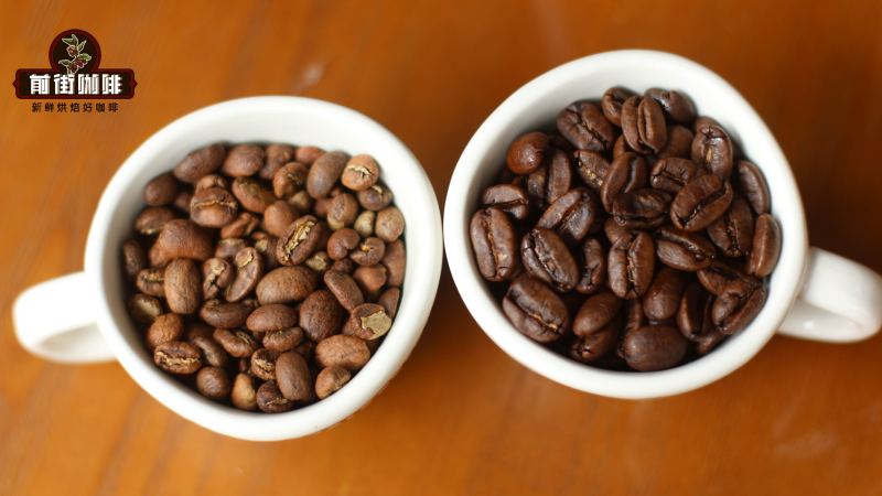 咖啡豆新手入門指南：從新鮮度、產區到烘焙風味一次搞懂