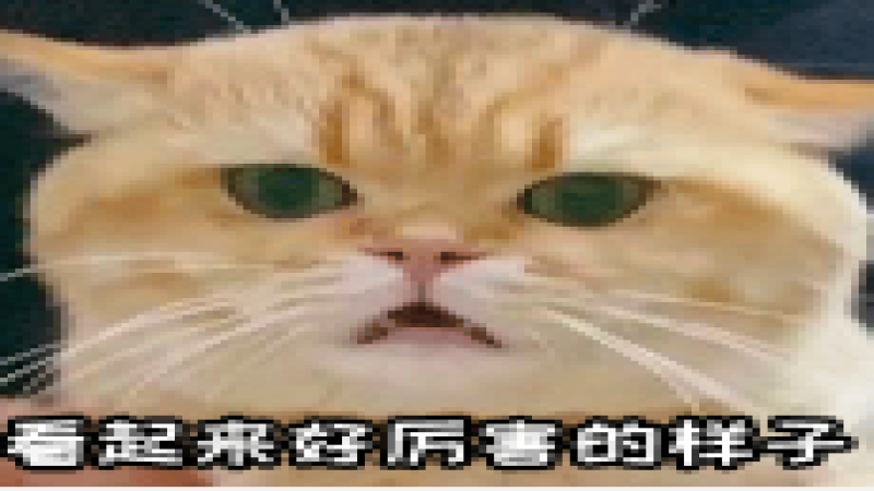Combo組合杯溫杯爆裂事件解析｜一豆多喝器具的耐溫挑戰與使用迷思