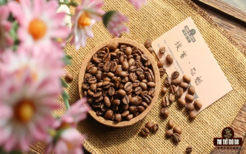2026淺烘手衝豆盤點｜新手入門能不能直接選淺烘咖啡豆？花香果香濃鬱的單品豆有哪些？