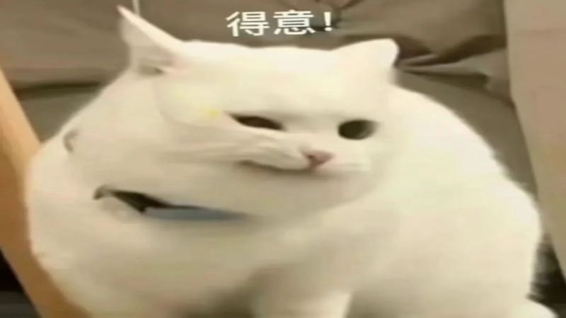 2016 SCA新版咖啡風味輪解析｜72位專家背書的感官體系與高清中文圖