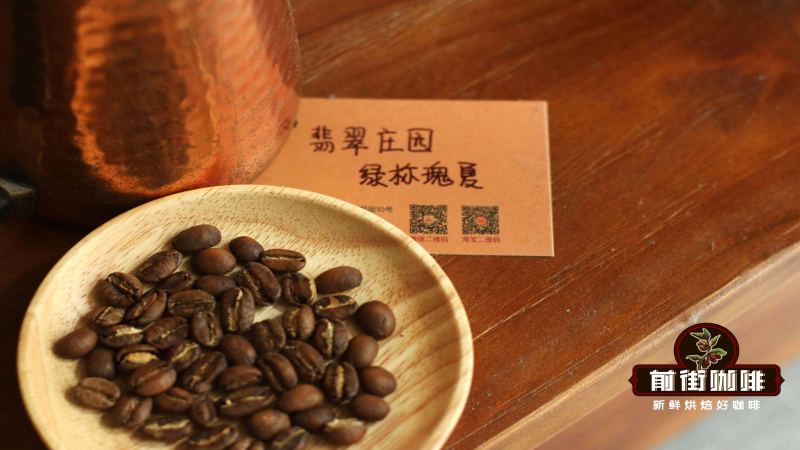瑰夏咖啡是Gesha還是Geisha？起源、產區與SOE風味解析手沖入門指南