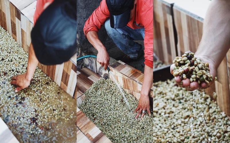 耶加雪啡咖啡豆，淺烘深烘分別去哪裡買
