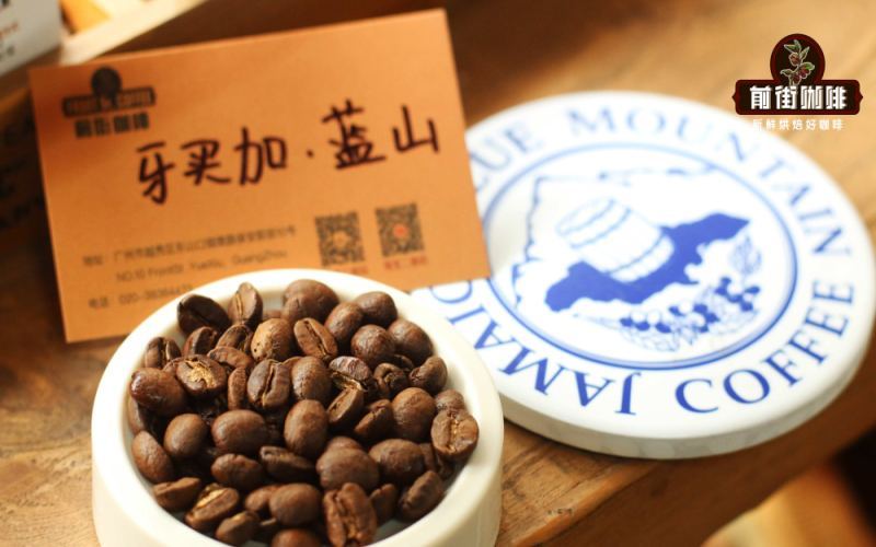 牙買加藍山咖啡產地歷史與價格成因解析及前街藍山一號風味衝煮分享