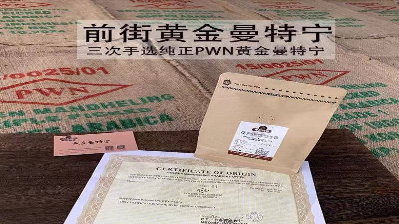 在家用機裏找產地風味：SOE的日常玩法