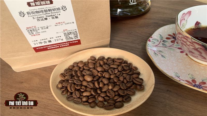埃塞俄比亞花魁咖啡豆全解析：從產區到手衝參數與風味指南