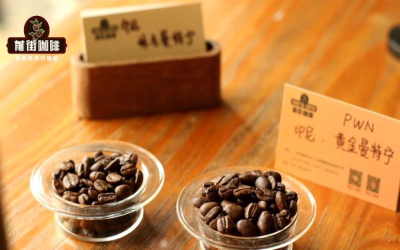 印尼咖啡風味解析｜曼特寧爲什麼這麼苦？黃金曼特寧和G1曼特寧差在哪？入門必喝的深烘單品咖啡豆推薦？