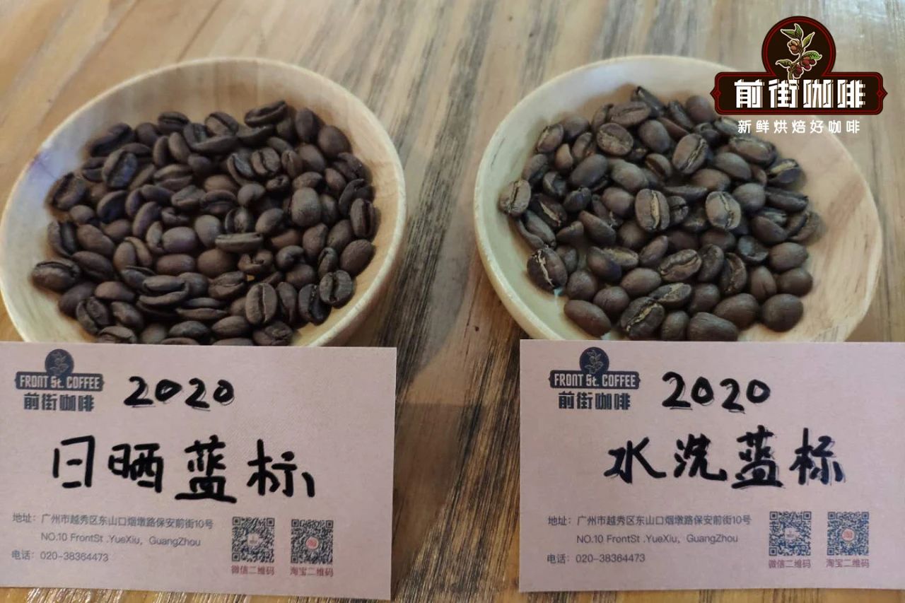 翡翠藍標瑰夏更名Las Rocas？2021水洗處理與手沖建議全攻略