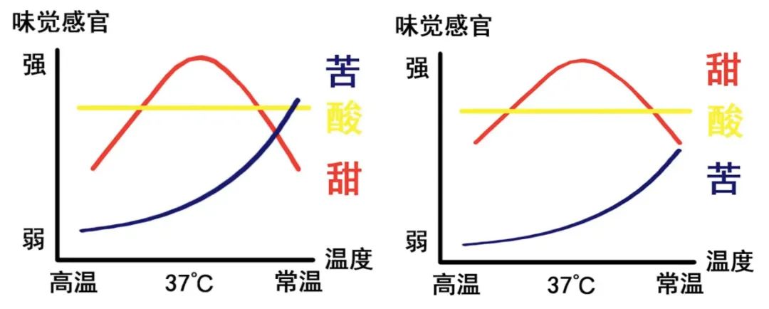 手沖咖啡最佳飲用溫度解析｜保存時限與保溫杯影響全指南
