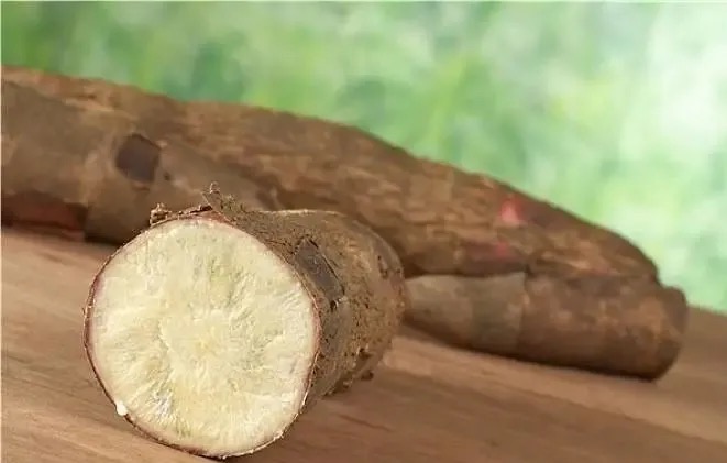 木薯原料成本攀升背後：中國乙醇產業如何間接牽動珍珠奶茶供應鏈