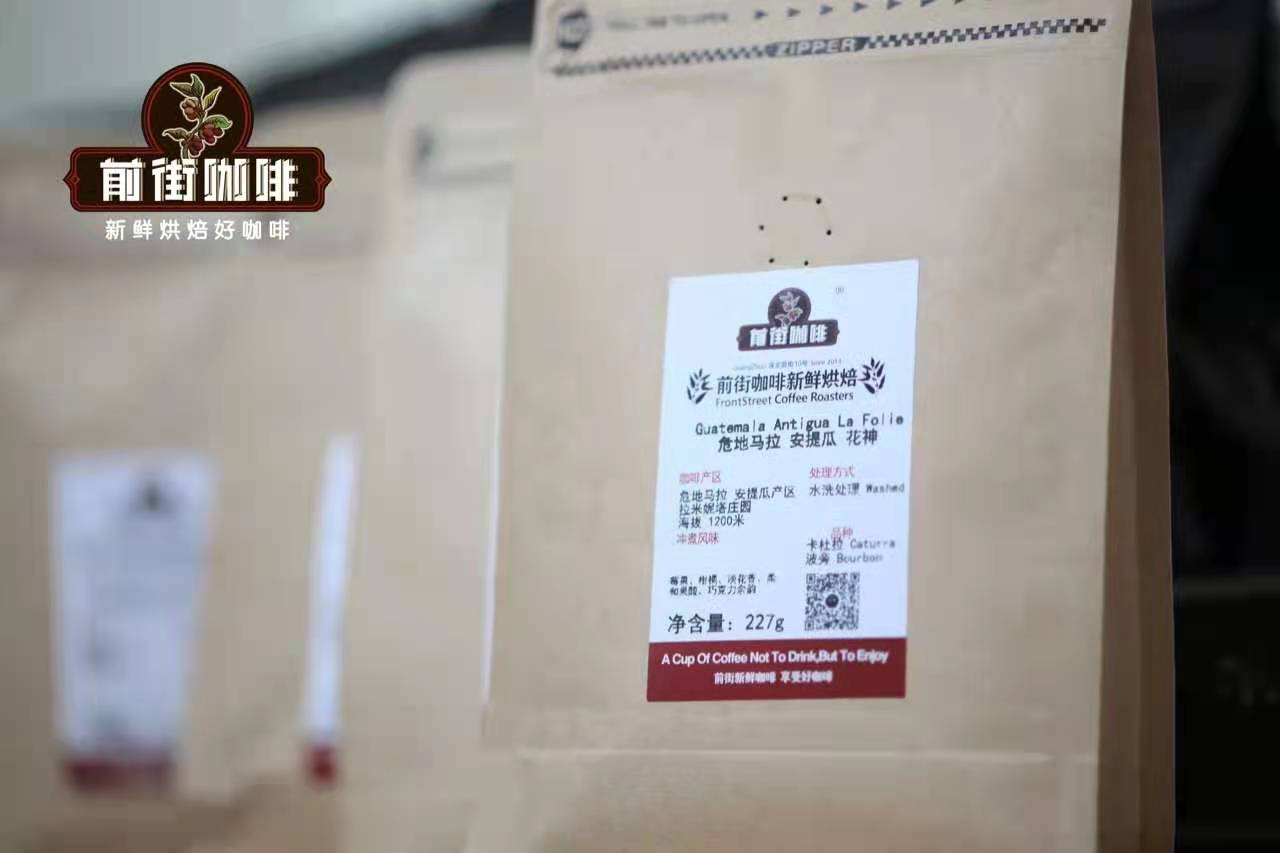危地馬拉安提瓜花神咖啡全解析：風味、處理與手沖參數一次掌握