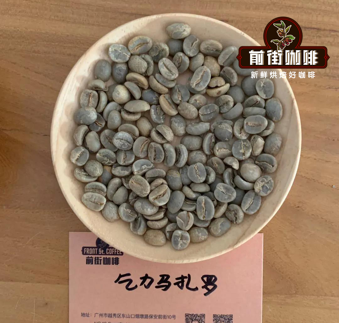 坦桑尼亞AA咖啡全解析：乞力馬扎羅火山西麓的波旁水洗風味與手沖參數