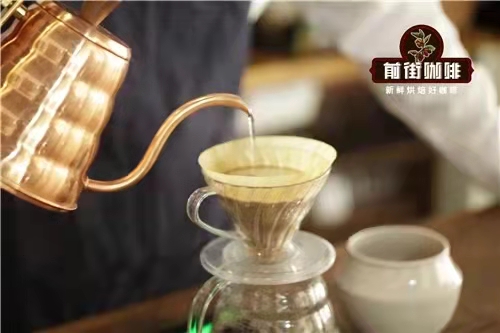 手沖一刀流入門指南：從悶蒸技巧到注水要點，比較三刀流差異