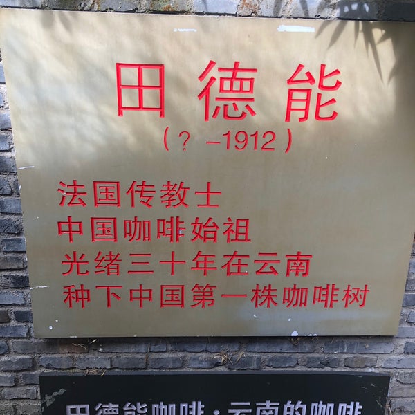 雲南咖啡從傳教士樹苗到精品化:鐵皮卡種植與水洗處理全解析