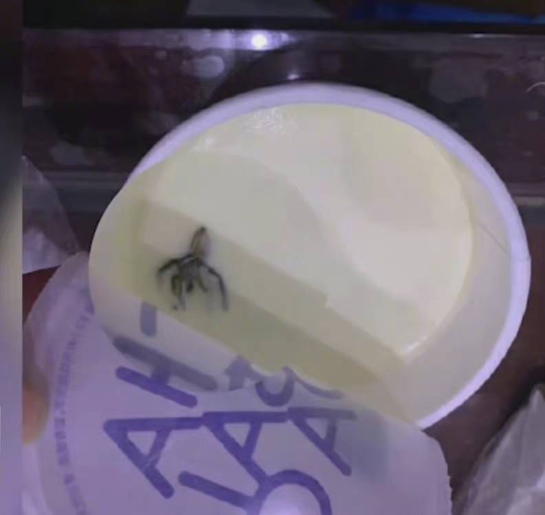 茶百道蟑螂飲品事件解析：食安法索賠與連鎖咖啡風險控管