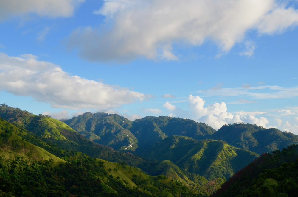 藍山咖啡 vs 美式咖啡差在哪？產地、萃取與風味全面解析