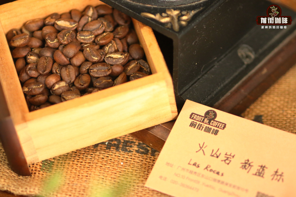 從埃塞到巴拿馬：瑰夏咖啡的品種起源、分級與風味全解析