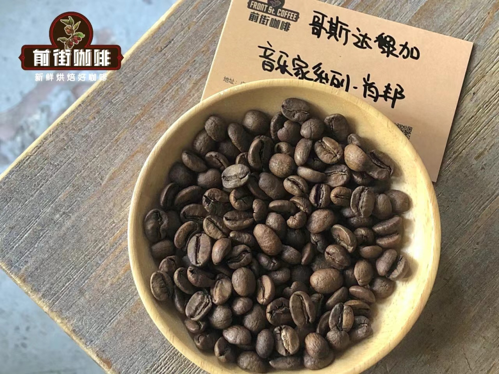 哥斯達黎加音樂家系列咖啡:4大風味剖析與手沖萃取實戰