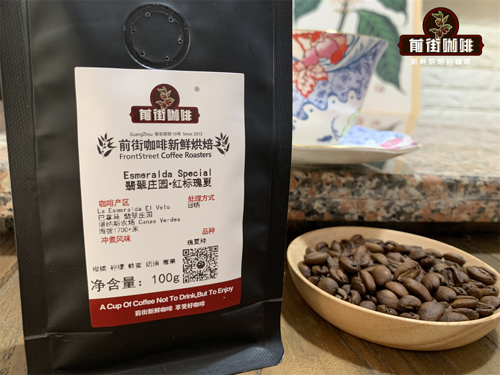 巴拿馬翡翠瑰夏咖啡怎麼挑？紅標定價解析與手沖風味入門指南