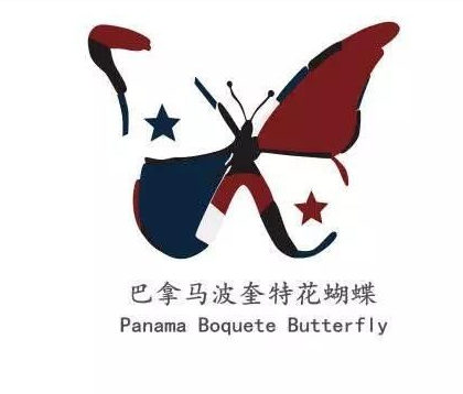 巴拿馬波奎特產區深度解析：日曬花蝴蝶的風味秘密與瑰夏血統
