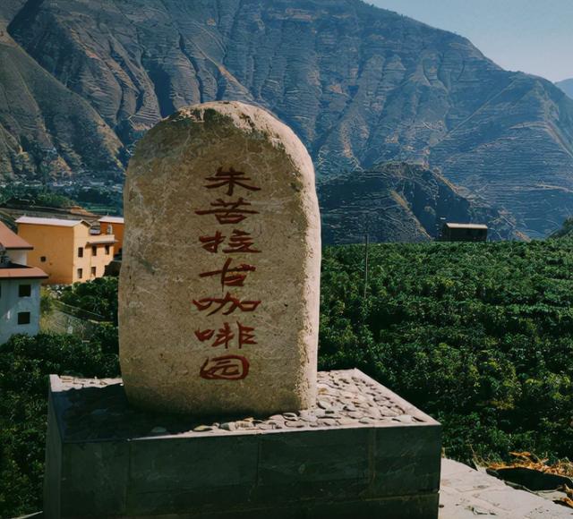 雲南咖啡產區評比與入手指南：精品鐵皮卡豆種與手沖參數