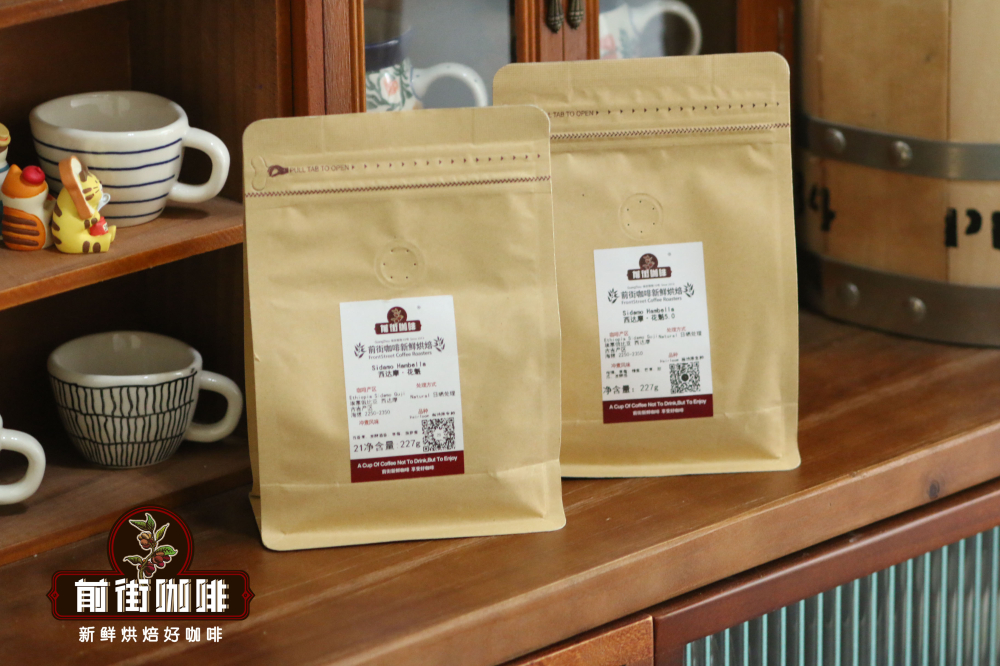 花魁8.0日曬豆手沖教學：從產地到V60三段式萃取參數全攻略