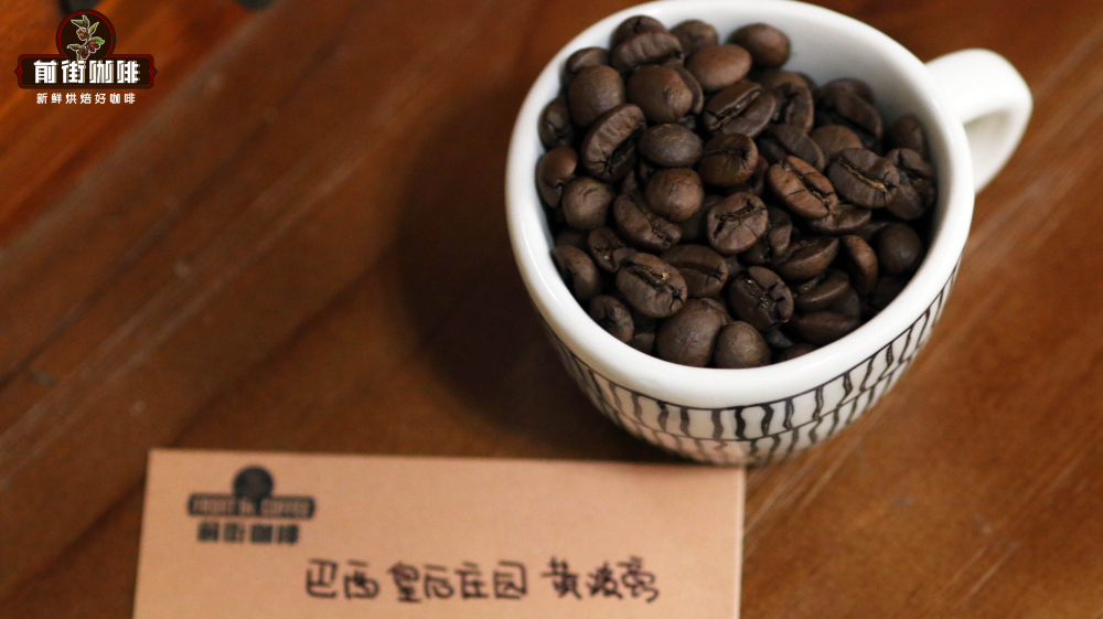 全球十大精品咖啡產地全解析：風味特色與處理法大公開