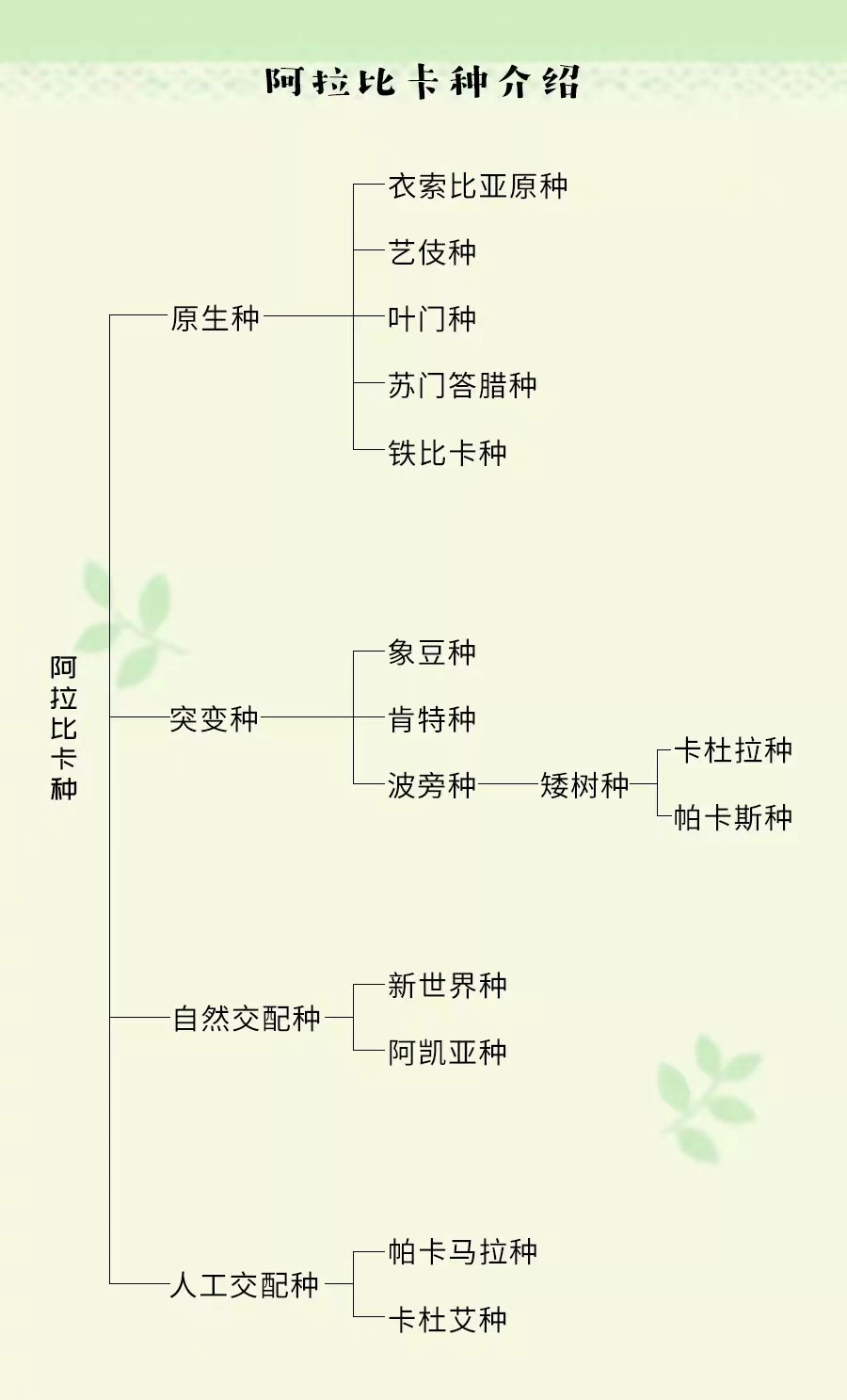 阿拉比卡 vs 卡內弗拉咖啡豆：品種特性、產區差異與風味指南