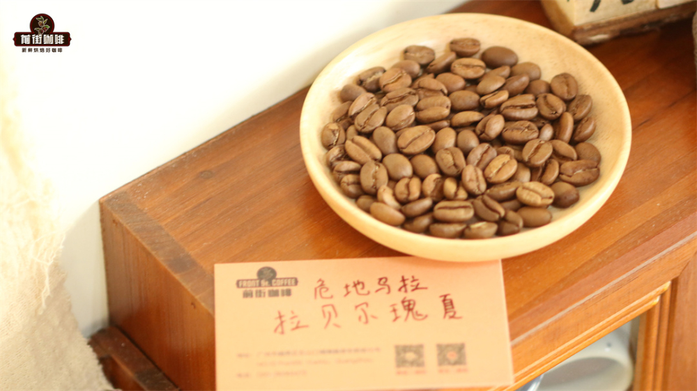 瑰夏咖啡傳奇溯源：從埃塞俄比亞原生種到頂級莊園的風味密碼